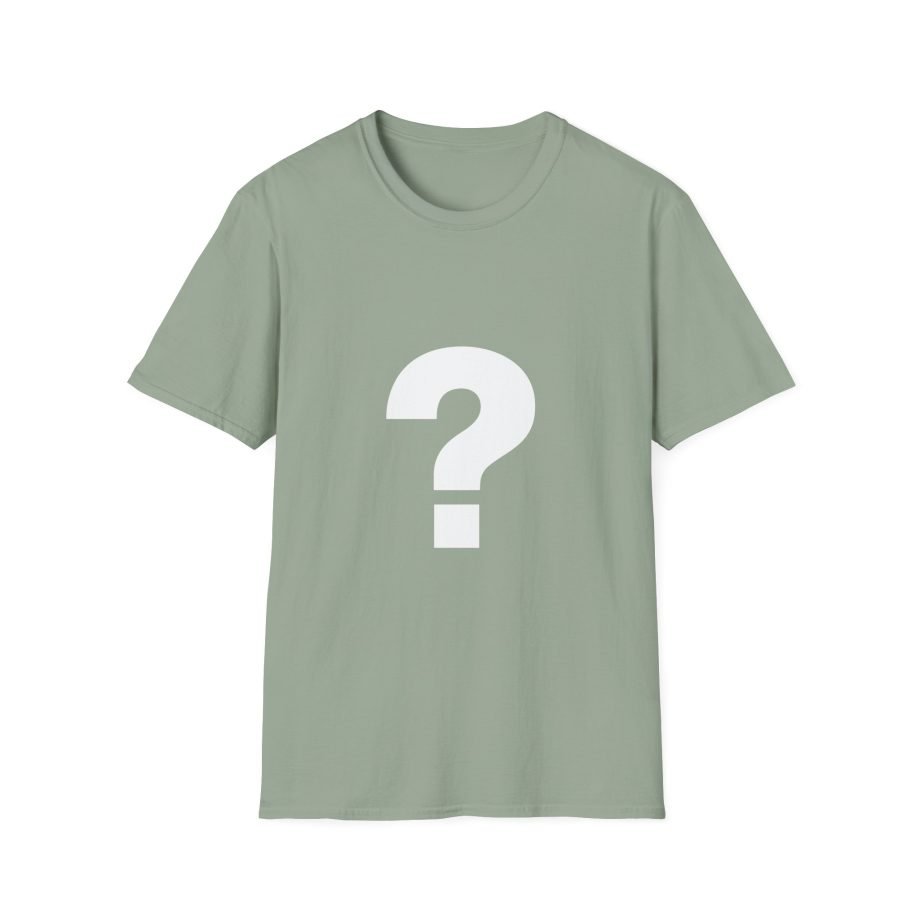 The Front Bottoms Mystery  Unisex Softstyle T-Shirt