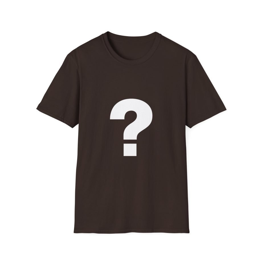 The Front Bottoms Mystery  Unisex Softstyle T-Shirt