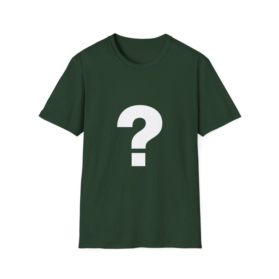The Front Bottoms Mystery  Unisex Softstyle T-Shirt
