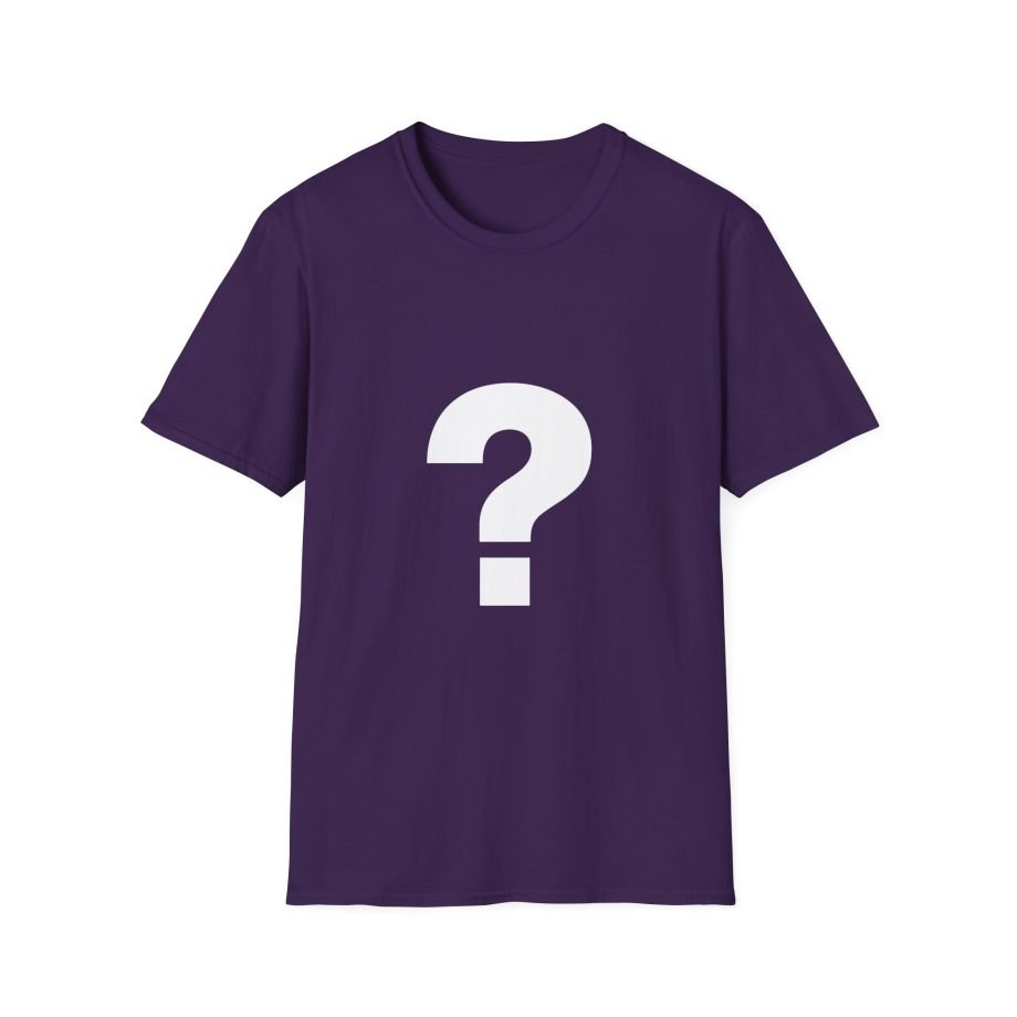 The Front Bottoms Mystery  Unisex Softstyle T-Shirt