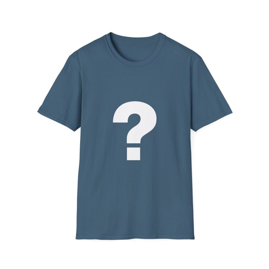 The Front Bottoms Mystery  Unisex Softstyle T-Shirt
