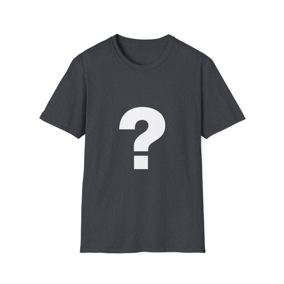 The Front Bottoms Mystery  Unisex Softstyle T-Shirt