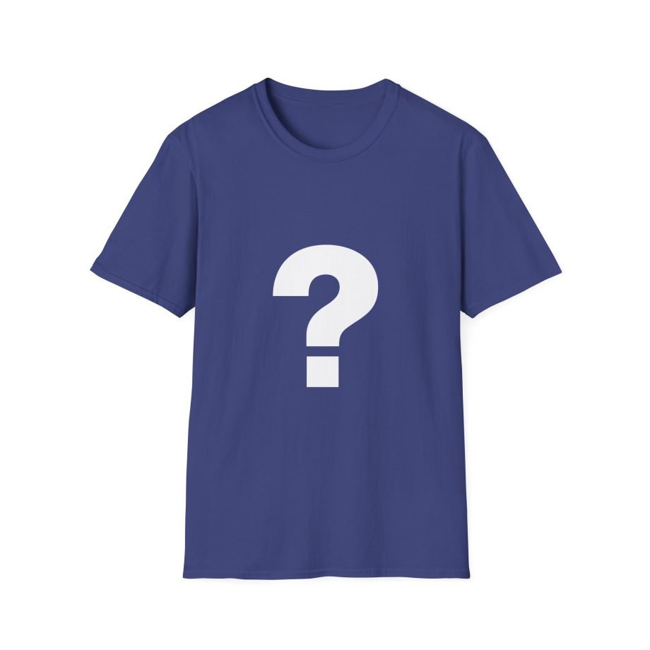 The Front Bottoms Mystery  Unisex Softstyle T-Shirt