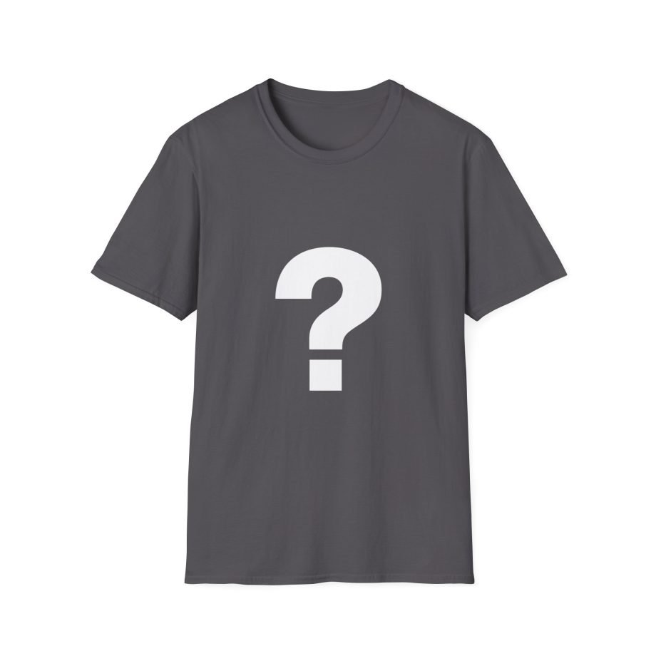The Front Bottoms Mystery  Unisex Softstyle T-Shirt